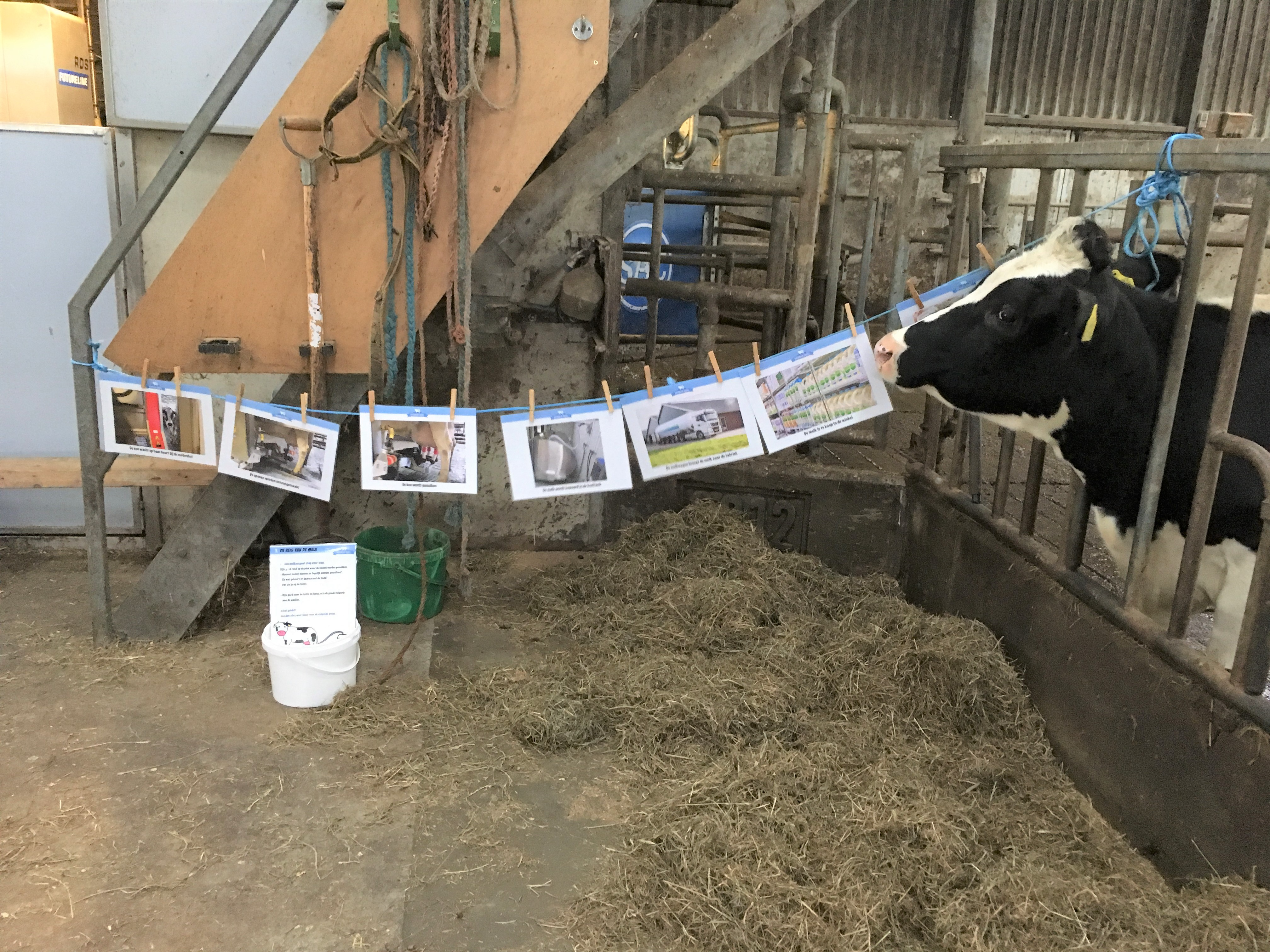 boerderij educatie boerderij berg