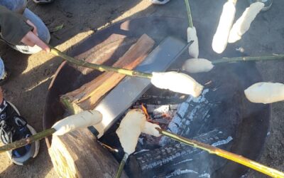 Overleven in de natuur