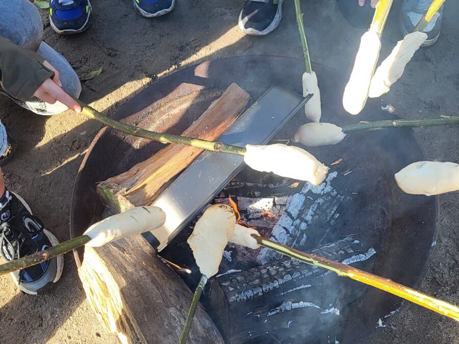 Overleven in de natuur