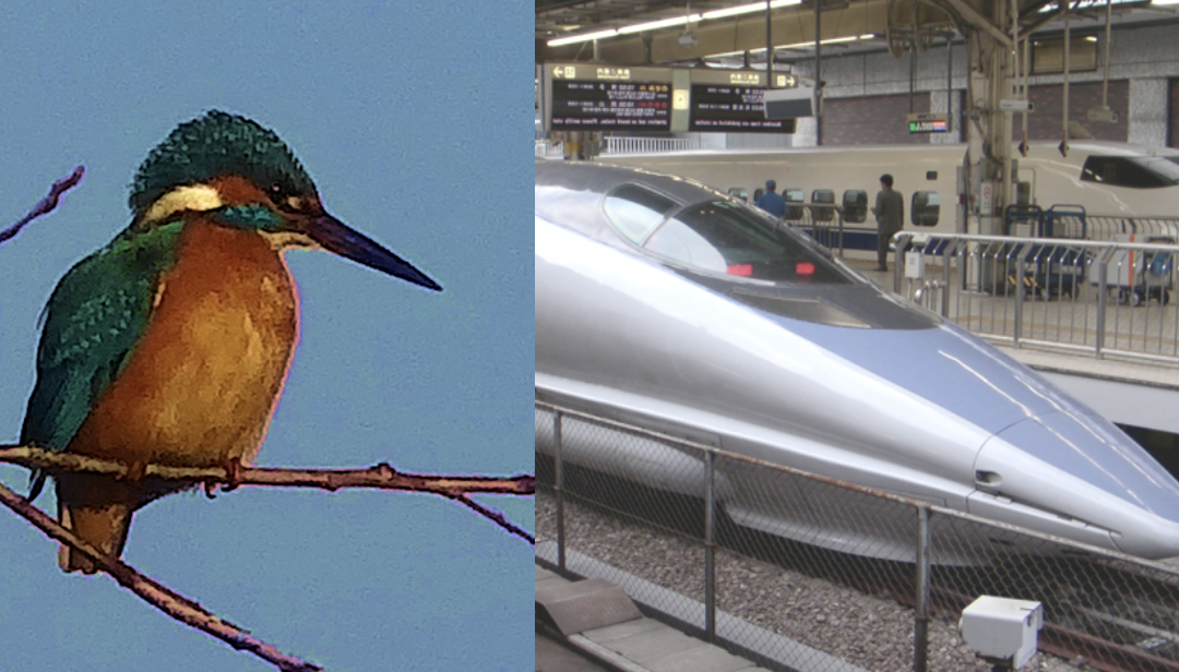 De natuur als uitvinder