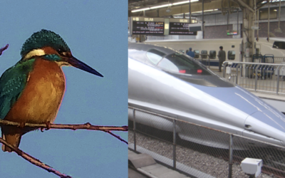 De natuur als uitvinder