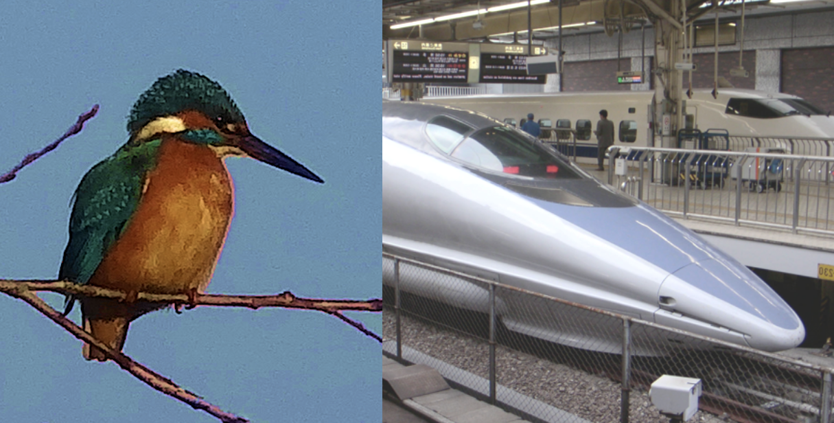 De natuur als uitvinder ijsvogel met trein kind in bos