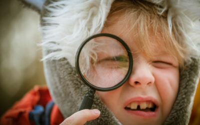 Overleven in de natuur