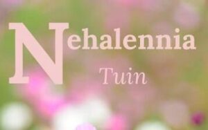 Nehalennia-tuin-bewerkt meisje met verrekijker