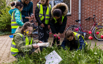 Op wildplukavontuur!