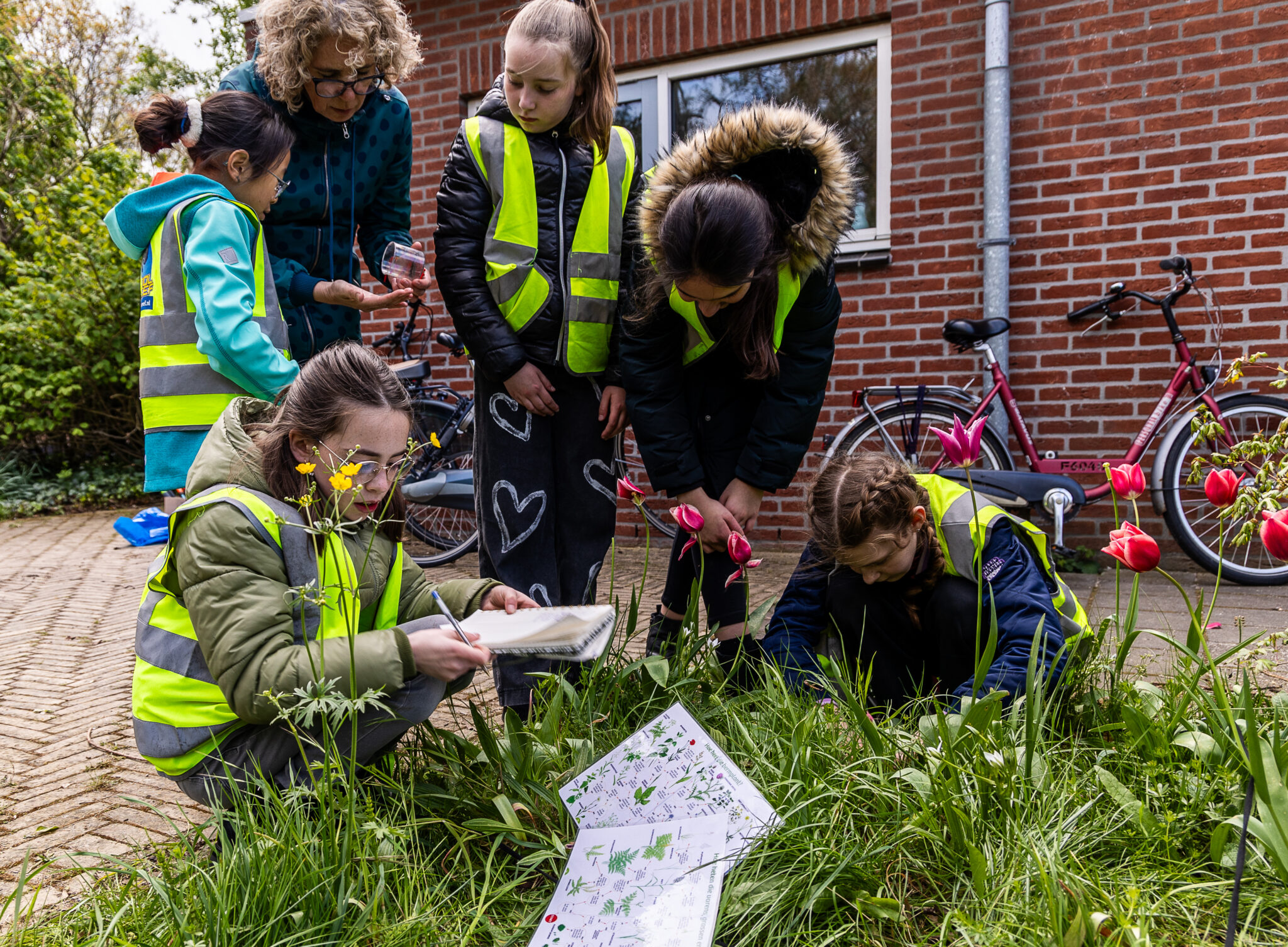 Op wildplukavontuur Daphne STRUINT docent met kinderen wildplukken