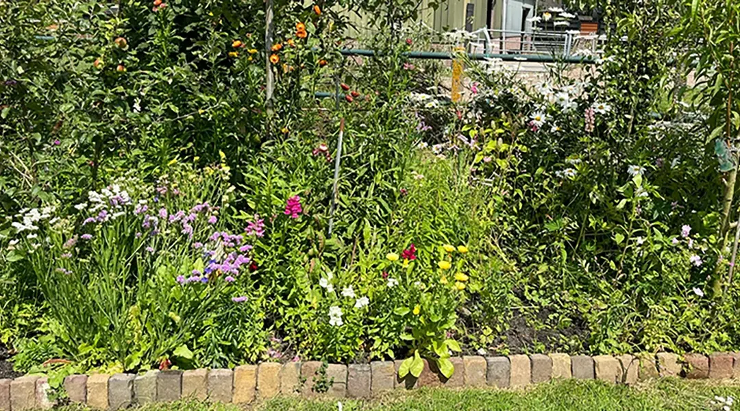 Open dag St. Groen en Geluk | 17 mei 2025