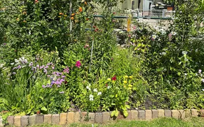 Open dag St. Groen en Geluk | 17 mei 2025