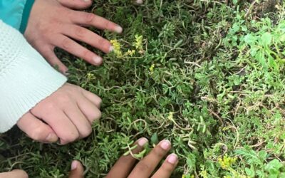 Gratis gastles Nationale Buitenlesdag | 7 april 2026