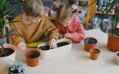 Workshop wormenbak maken