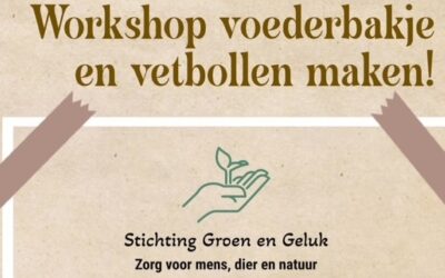 Herfstworkshop | 24 oktober 2025