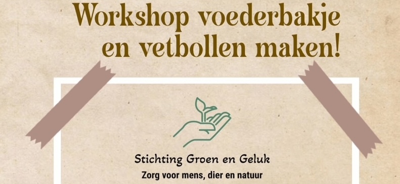 Herfstworkshop | 24 oktober 2025