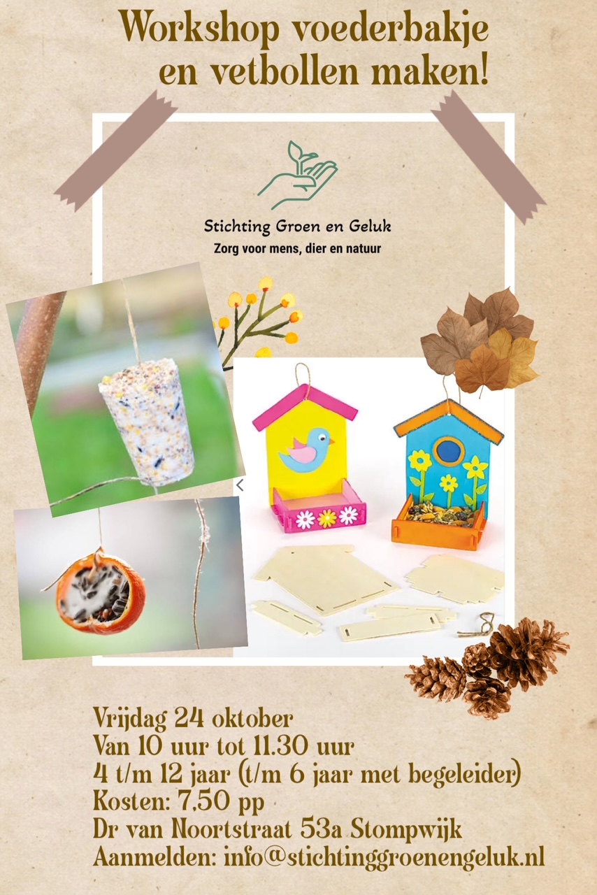 voederbakje maken poster meisje met verrekijker